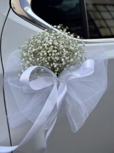 קישוט רכב מס' 8