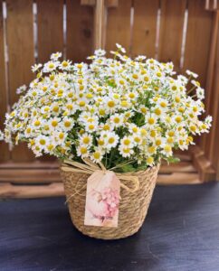 זר פרחים מס' 43